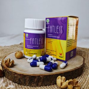 Cara Diet Fatless