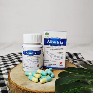 Albutrix obat pengering luka