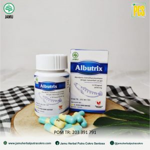 Pengering Luka Albutrix